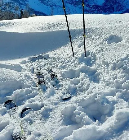 Ξενοδοχείο Garni Sonnhof 4*