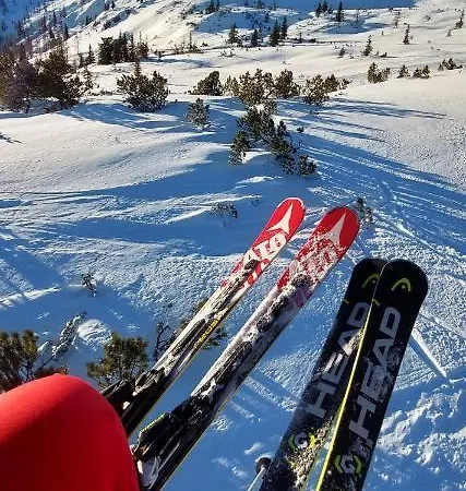 酒店 Garni Sonnhof 弗拉绍