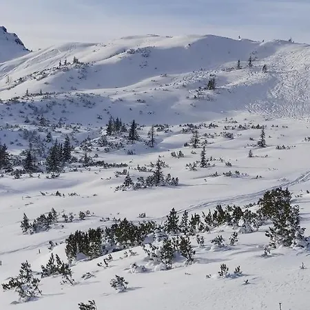 Garni Sonnhof Flachau