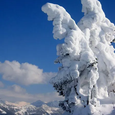 Garni Sonnhof Ξενοδοχείο 4*