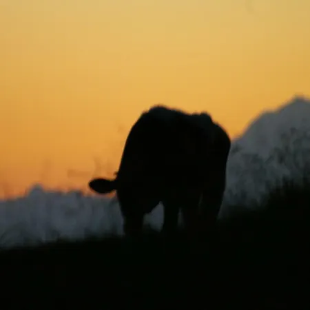 ホテル Garni Sonnhof フラッハウ