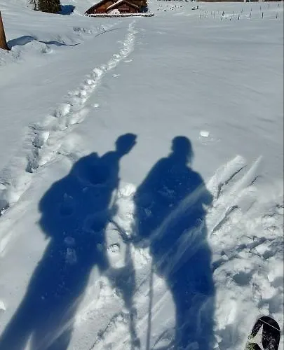 Hotel Garni Sonnhof 4*