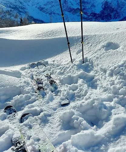 Hotel Garni Sonnhof 4*