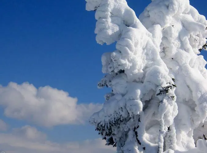 Garni Sonnhof Hotel 4*